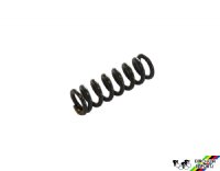 Campagnolo #120 Long Limit Screw Spring