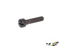 Campagnolo #2215/A Limit Screw