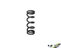 Campagnolo #2217 Limit Screw Spring