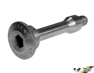 Campagnolo #4005 Lower Pivot Bolt - Titanium