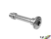 Campagnolo 7350143 Lower Pivot