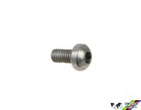 Campagnolo 7350144 Pulley Fixing Screw