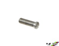 Campagnolo 7350203 Limit Screw