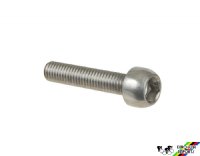 Campagnolo 7350213 Fixing Screw