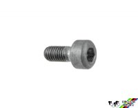 Campagnolo 7350224 Rotating Body Fixing Screw