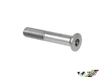 Campagnolo 7350229 Pulley Fixing Screw