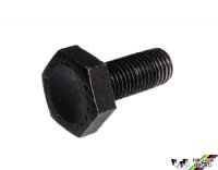 Campagnolo #748 Crank Arm Bolt - Black