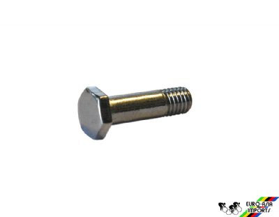 Campagnolo #93/A Pulley Fixing Screw