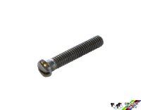 Campagnolo #99 Limit Screw