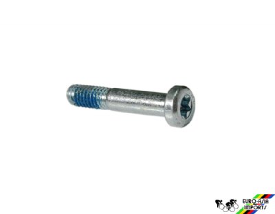 Campagnolo EC-RE407 Fixing Bolt