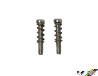 Campagnolo FD-RE102 Set of Limit Screws & Springs