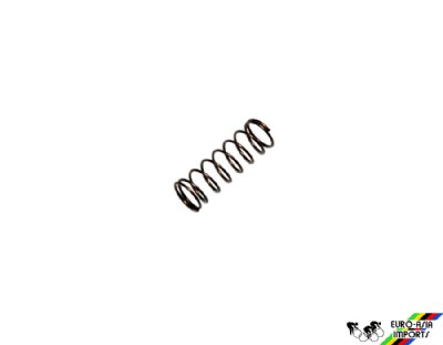 Campagnolo FH-RE014 Pawl Spring