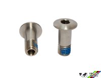 Campagnolo RD-SR030 Pulley Fixing Screws